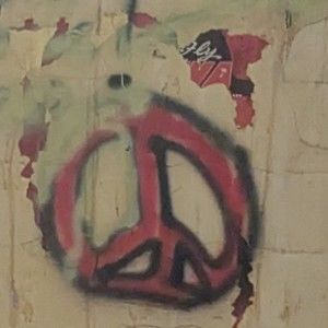 Meet your Posher, Delmar